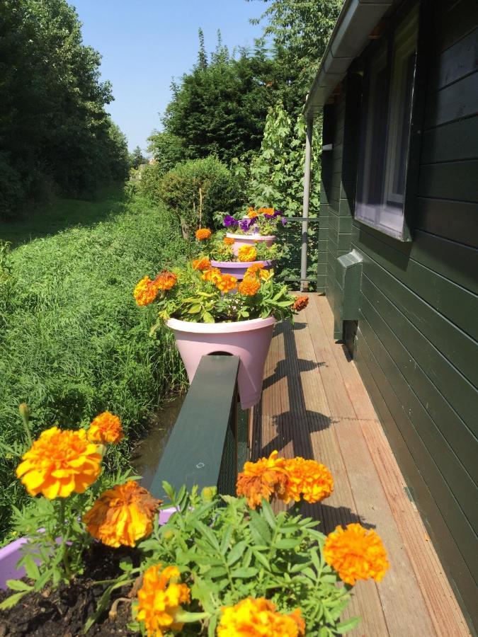 Gardenhouse Mariposa Villa Badhoevedorp Ngoại thất bức ảnh